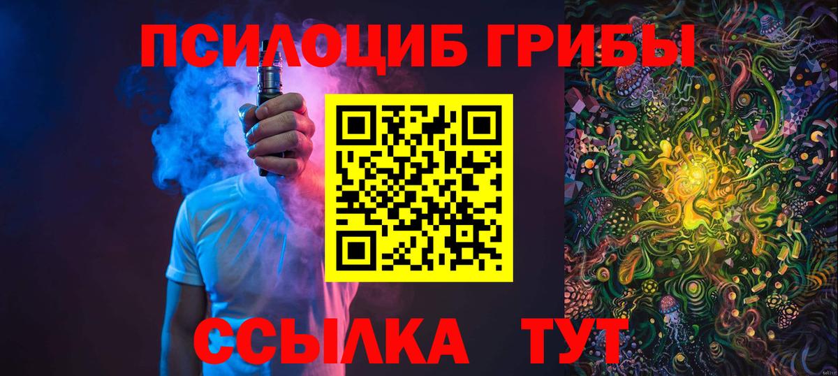 Псилоцибиновые грибы Psilocybe Южноуральск